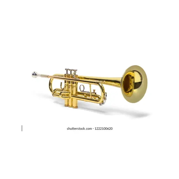Silver gold trumpet