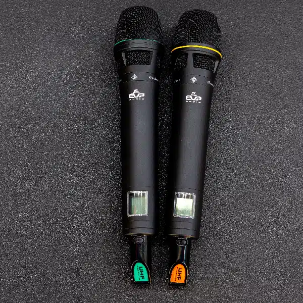 EWG4-2 mic system