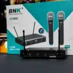 BNK1-1