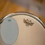 Remo 22