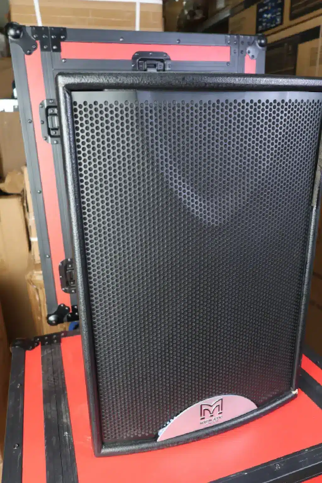 Martin Audio F12 in Nairobi