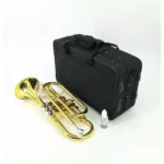 Cornet