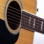 Daddario acoustic