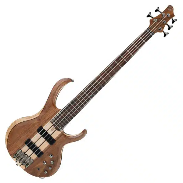 string bass guitar