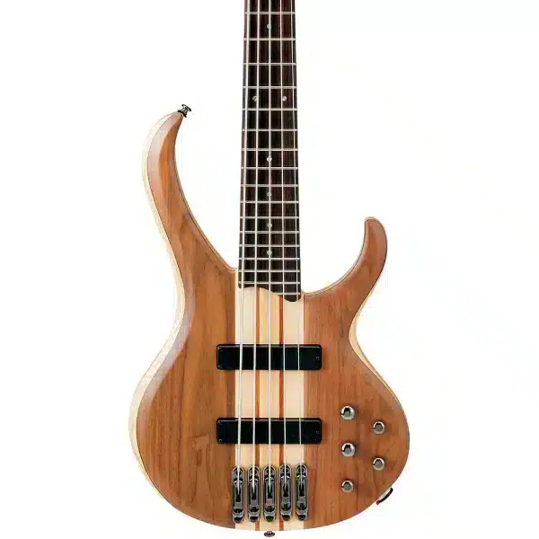 Ibanez 5 string