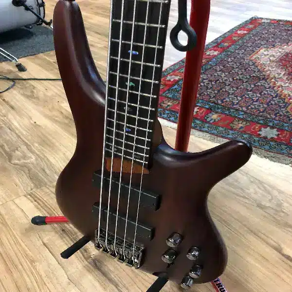 Ibanez SDGR 5 String Bass
