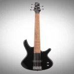 Ibanez SDGR 5 String Bass
