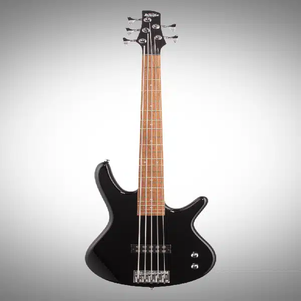 Ibanez SDGR 5 String Bass Guitar