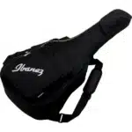 Ibanez acoustic