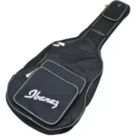 Ibanez acoustic