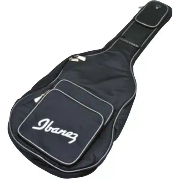 Acoustic Guitar Bags