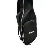Ibanez acoustic