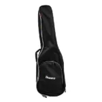 Ibanez acoustic