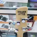 Ibanez SDGR 5 String Bass