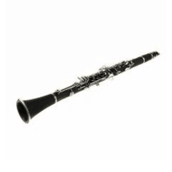 wind instrument