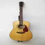 Fender acoustic