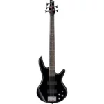 Ibanez 5 string