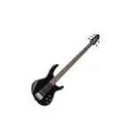 Ibanez 5 string