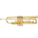 trumpet accessories Nairobi