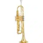 trumpet dealers Nairobi