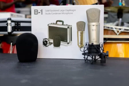 B-1 mic frequency response