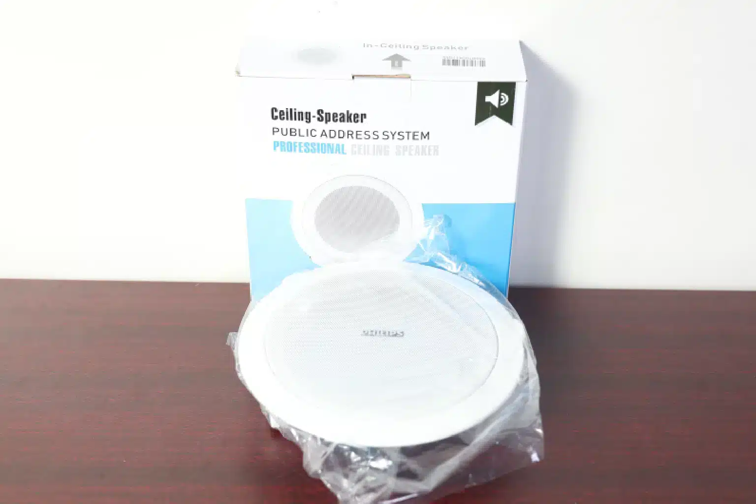 Philips ceiling speaker best buy