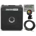 best bass amp for beginners