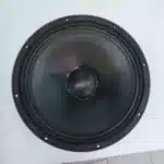 BM 15AZ16 midrange naked speaker