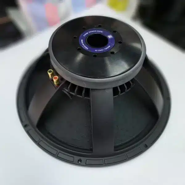 naked speaker
