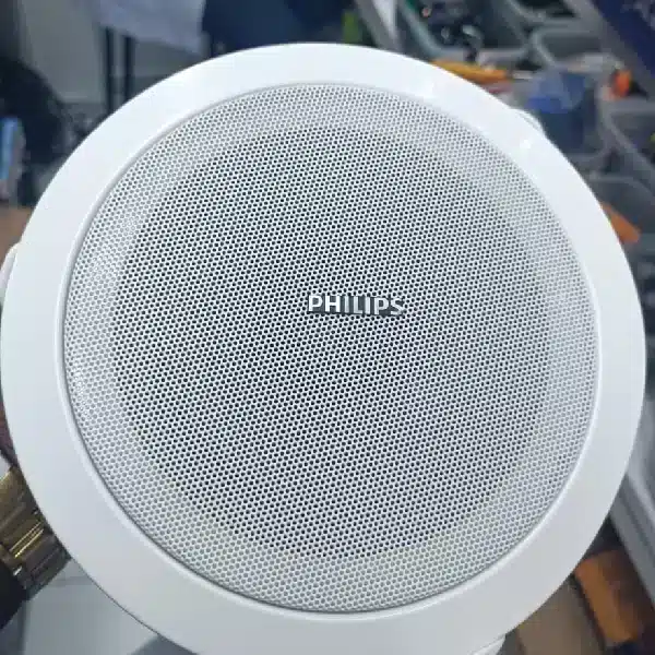 Phillips 8 inch