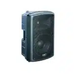 SOUNDKING 10-Inch FP 210