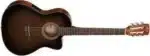Acoustic-guitar