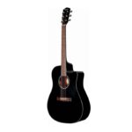 Fender semi acoustic