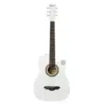 IRIN-38-Inch-6-String-Acoustic-Guitar