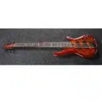 Ibanez SRMs806