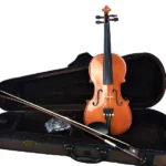 Stentor Standard Violin