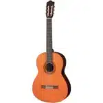 Memphis-Semi-Acoustic-Guitar3