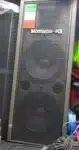 Montarbo-full-range-speaker1