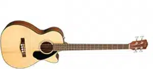 Guitar specifications