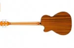 Semi-Accoustic-Bass-Guitar