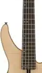 Bass-Yamaha