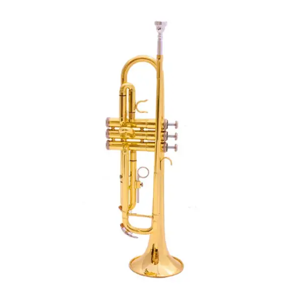 Generic Professional Trumpet