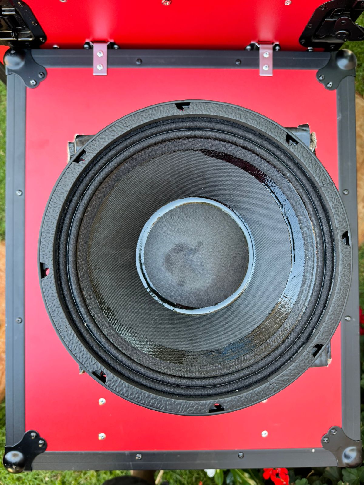 NR 12WF335