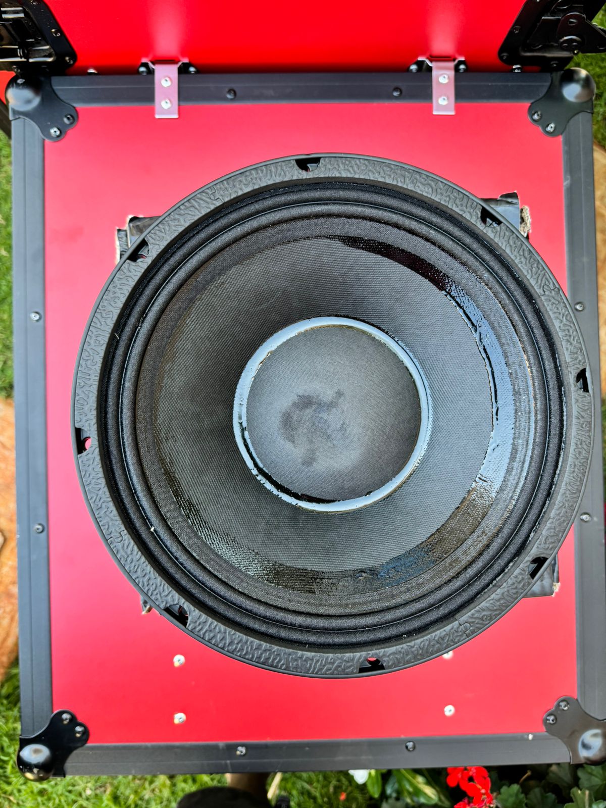 NR 12WF335 Naked