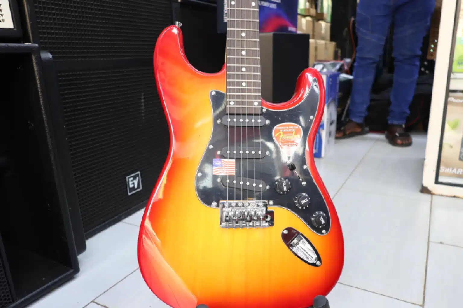 Professional guitar