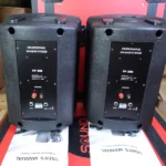 Soundking FP208 Professional Speaker