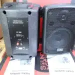 Soundking FP208 Professional Speaker