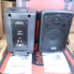 Soundking FP208 Professional Speaker
