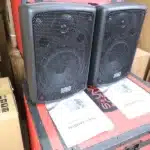 Soundking FP208 Professional Speaker