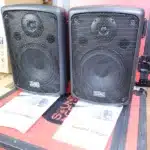 Soundking FP208 Professional Speaker